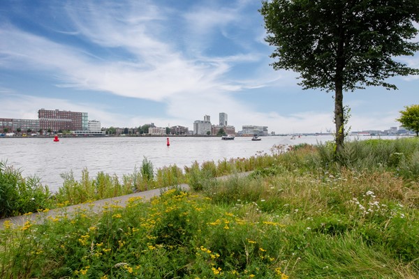 Medium property photo - Bundlaan 236, 1031 KA Amsterdam